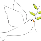 Bird - The dove of peace