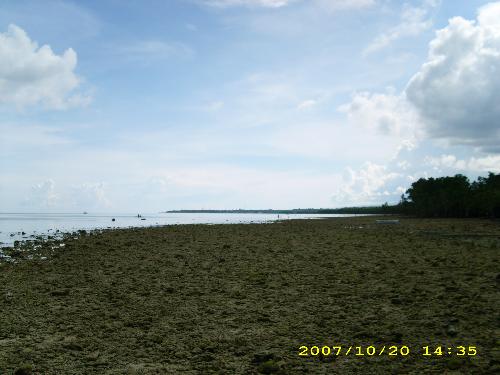 a rocky beach - this was taken when we went to argao, cebu. we were invited by a colleague of my mother to their cozy home. hehehe  the tide was very low at that time so just went for a walk instead. ^_^
