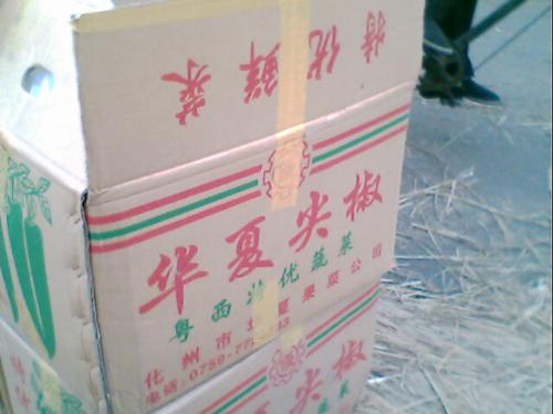 60 - China trip photograph