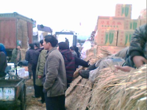 65 - China trip photograph