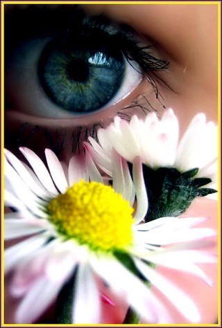 Daisy - A daisy with an eye in the background.