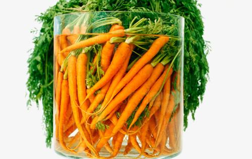 carrots - carrots for optimal health