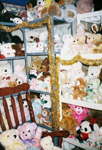 Just some of our babies - Here is a picture of some of our around 2,000 teddy babies. They all say 'Hi'.