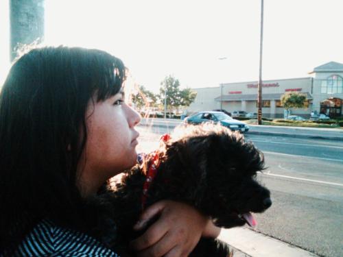 Esme and Marley about to cross the street waiting - Esme and Marley about to cross the street for the light to turn green