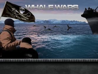 Whale Wars  - This is a picture of the show Whale wars on animal plant TV. It's about saving our whales in the Atlantic ocean