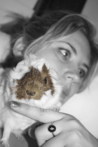 My Wife and her Piggy - Guinea Pig pet with my wife