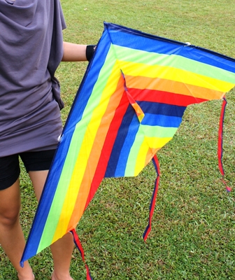 My kite - The kite is pretty but it doesn't even FLY!!!!!!!!!!!!!!!!!!!!!!!!!!!!!!!!!!!!!!!!