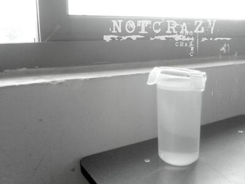 school - school-my world,my dream