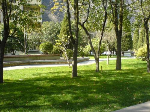 school - school-my world,my dream