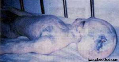 Alien found at Rosswell - It is an actual picture of an Alien at the Roswell incident its Dead of course .