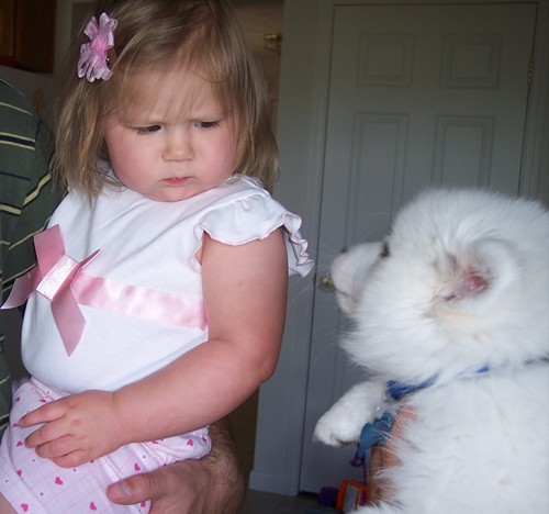 My daughter expressing how she feels about the dog - We had some visitors who brought thier dogs. My daughter was none too pleased w/ the new pet and she showed it!