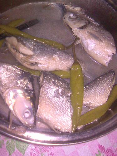 Milkfish Paksiw - Paksiw is a milkfish dish