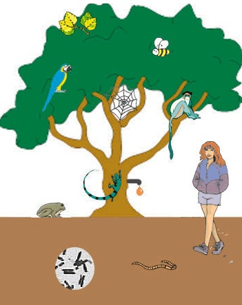 Tree Of Life - The Tree of Life