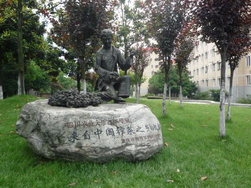 university - university-my world,my dream