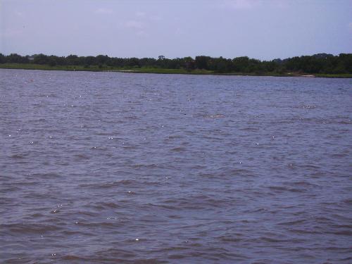 Gulf - Gulf of Mexico