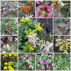 the world is just awesome! - the world is just awesome...lets take time to plant a tree and plant flowers to save the earth...take time to notice and see hpw awesome the world is...it doesn't cost anything but your time...   take care