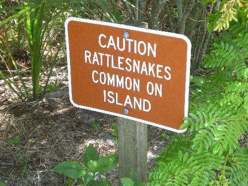 Snakes oh my! - Snake sign on Caladesi Island