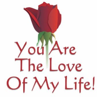 you arre the love - you are the love of my life