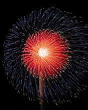 well...fireworks are nice...dont they...hee... - coolz....hope i can see though..