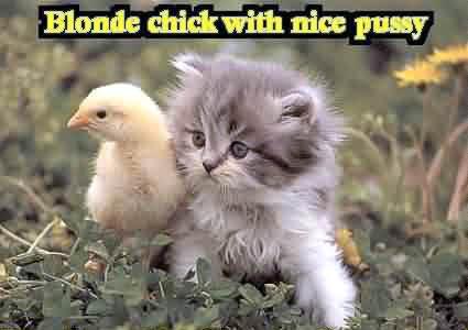 Blonde chick with nice p*ssy - Best porn photo ever. Lovely chick with cute tight p*ssy. It is safe for work though, in some way...:)
tags: humor, kitten, animals, cats,image