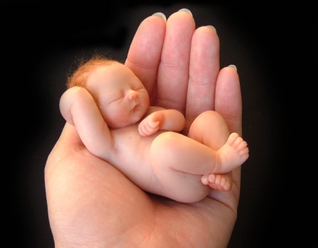 baby - Keep your child within your hand...