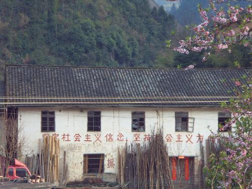 elementary school - elementary school-long time ago
