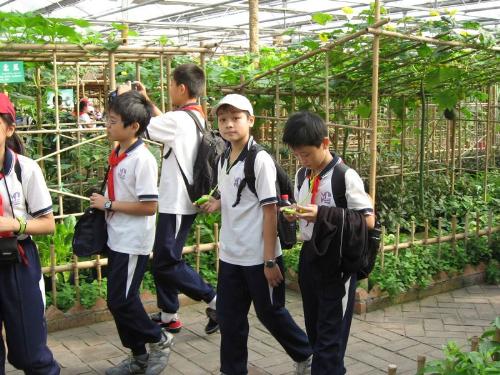 elementary school - elementary school-long time ago