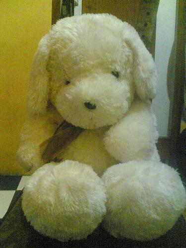 japol  - one of the cute stuffed toys we have at home from mu mom. hehehehe! Cute niya noh? lambot pa!