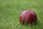 bowl - rhis is a cricket ball used in test matches.it is hard and have swing when condition assist.