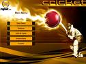 what a game - cricket is loved all over world.
