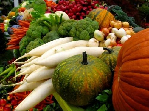 veggie - veggie for your health