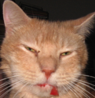 Poor Pong - He's looking pretty sad in this pix