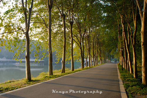 road  - I like this palce, quiet, clean, and fresh air. SCBG, Guangzhou, China.