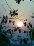 another sunset - this one is also really cool....