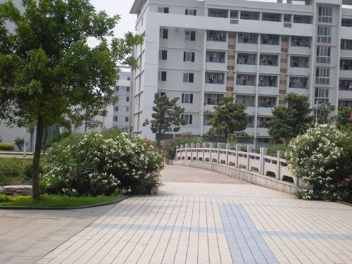 university - university-my world,my dream