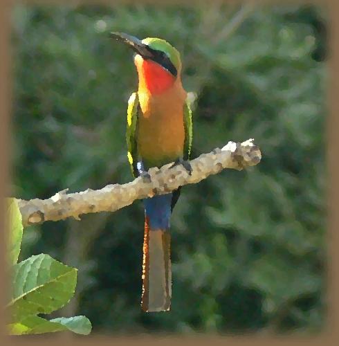 Little Bird Oil Painting - This is a oil painting of a bird sitting on a stem.