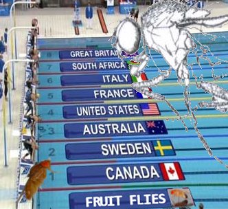 believe me.... - they do swim