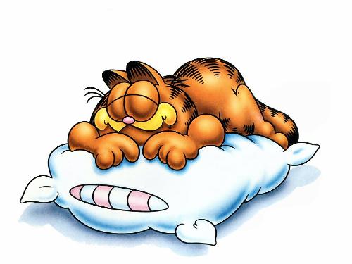 Garfield Sleeping - Just Garfield sleeping I like it though.. haha.. 