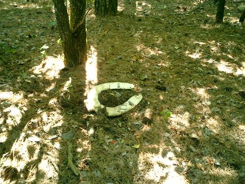 toilet seat on hiking trail - I was hiking and came across the scene of this toilet seat. Don't know how it got there or where it came from... it's just there.