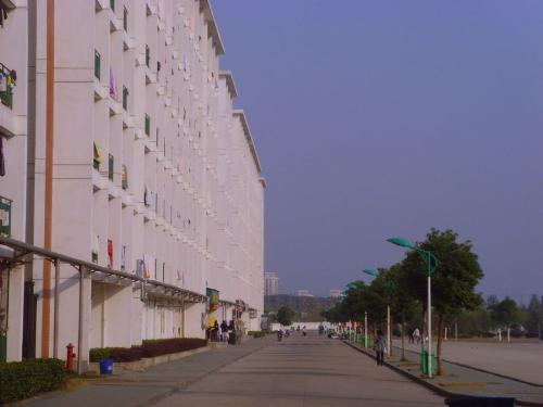 university - university-my world,my dream