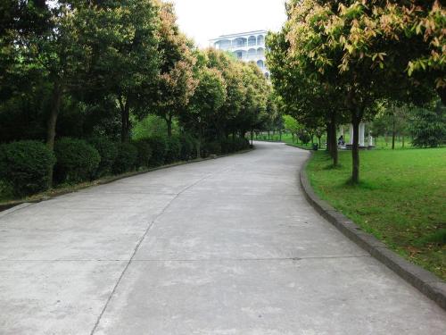university - university-my world,my dream