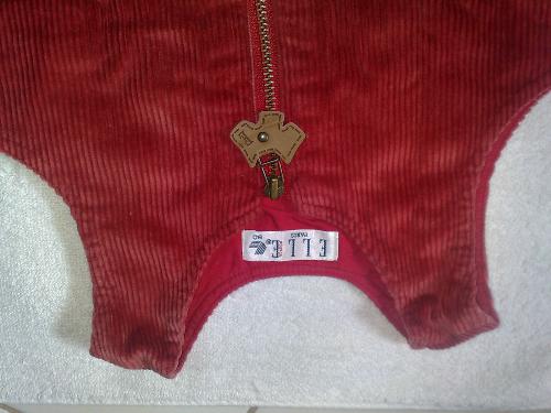 clothes - red dress