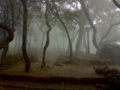 My Photograply - My Nature Photography