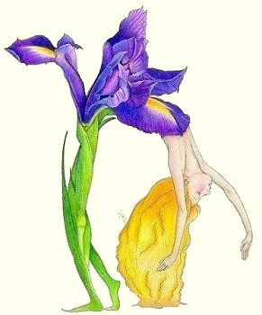 Avatar - Dancing Iris
