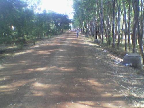 jogging track - good morning ...