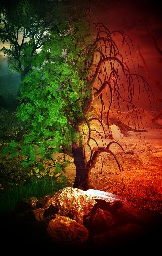 life and death - a symbolic image showing the tree of life and death