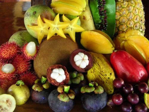 much fruit  - an array of fruits