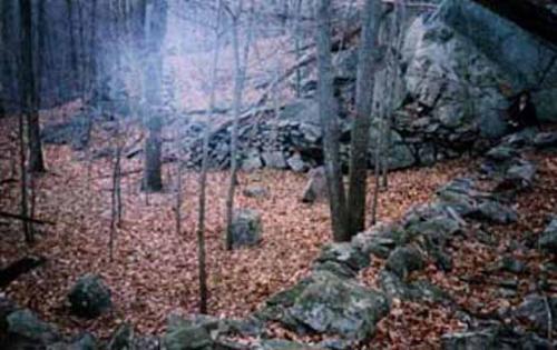 Spirits in nature - This is the type of setting I feel most spiritual in. I love the woods all times of the year. Mari