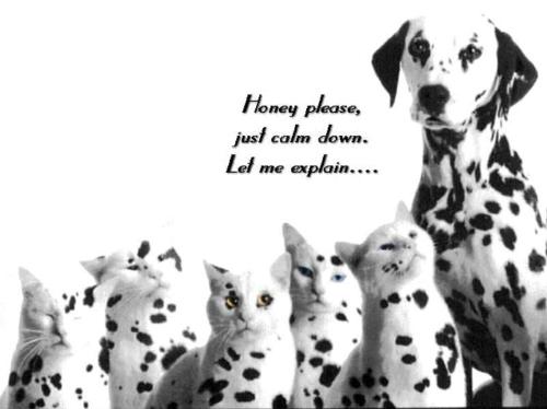 confusion - funny confusion