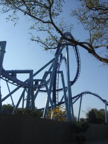 Manta - Manta at Seaworld Orlando